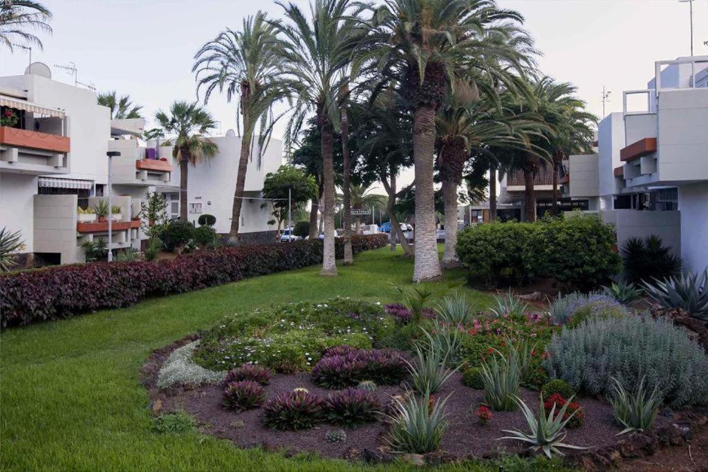 ארונה Tenerife Primavera מראה חיצוני תמונה